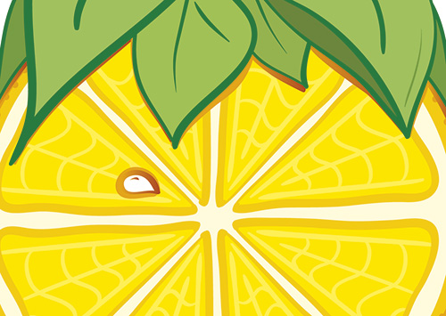 ilustrace citron